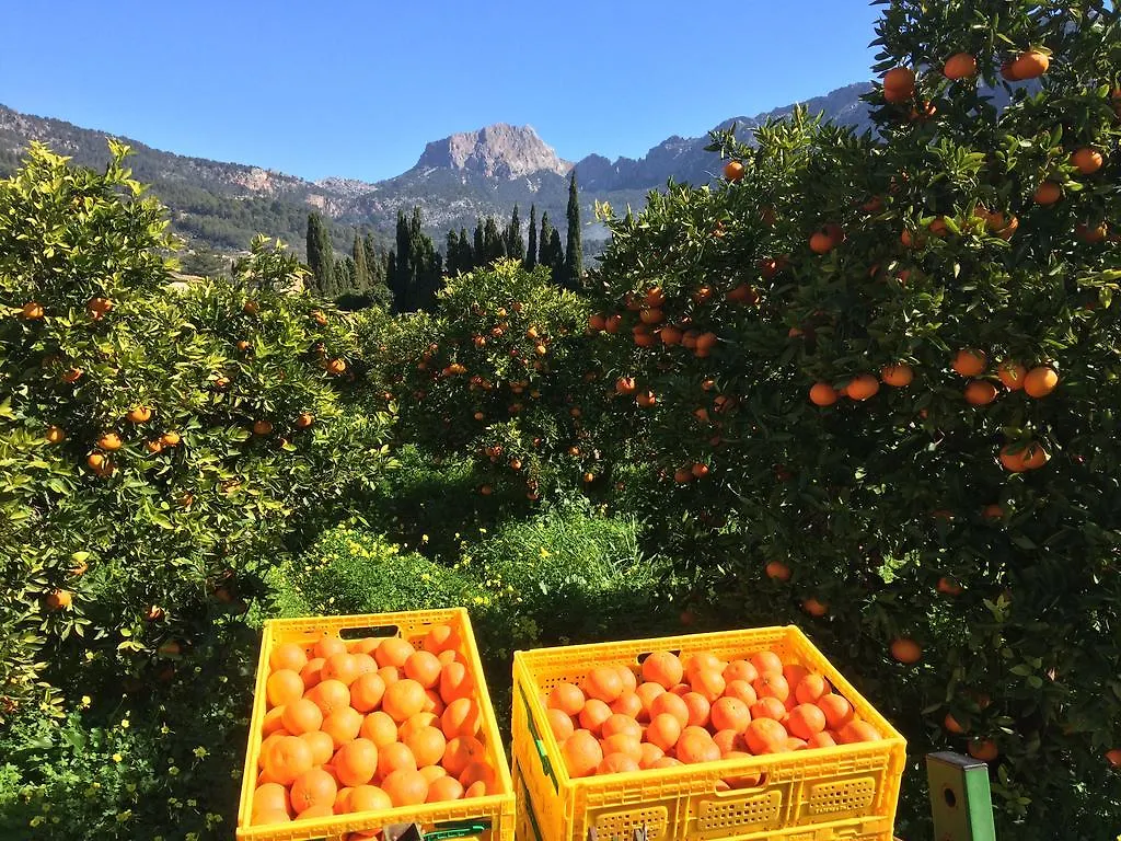 Finca Cas Sant Soller Spain