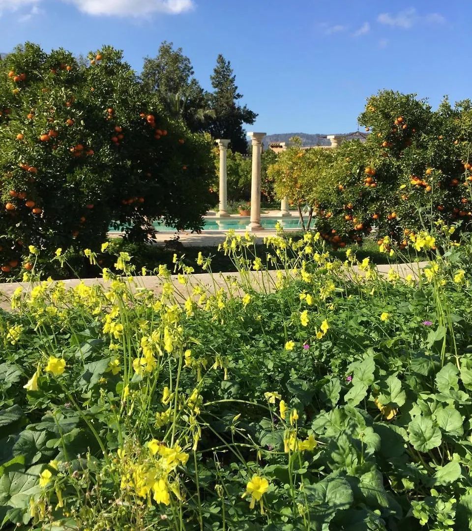 Farm stay Finca Cas Sant Soller