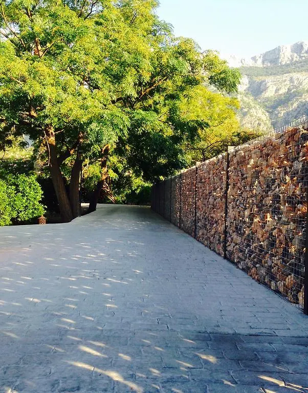 Κατάλυμα σε φάρμα Finca Cas Sant Sóller Ισπανία