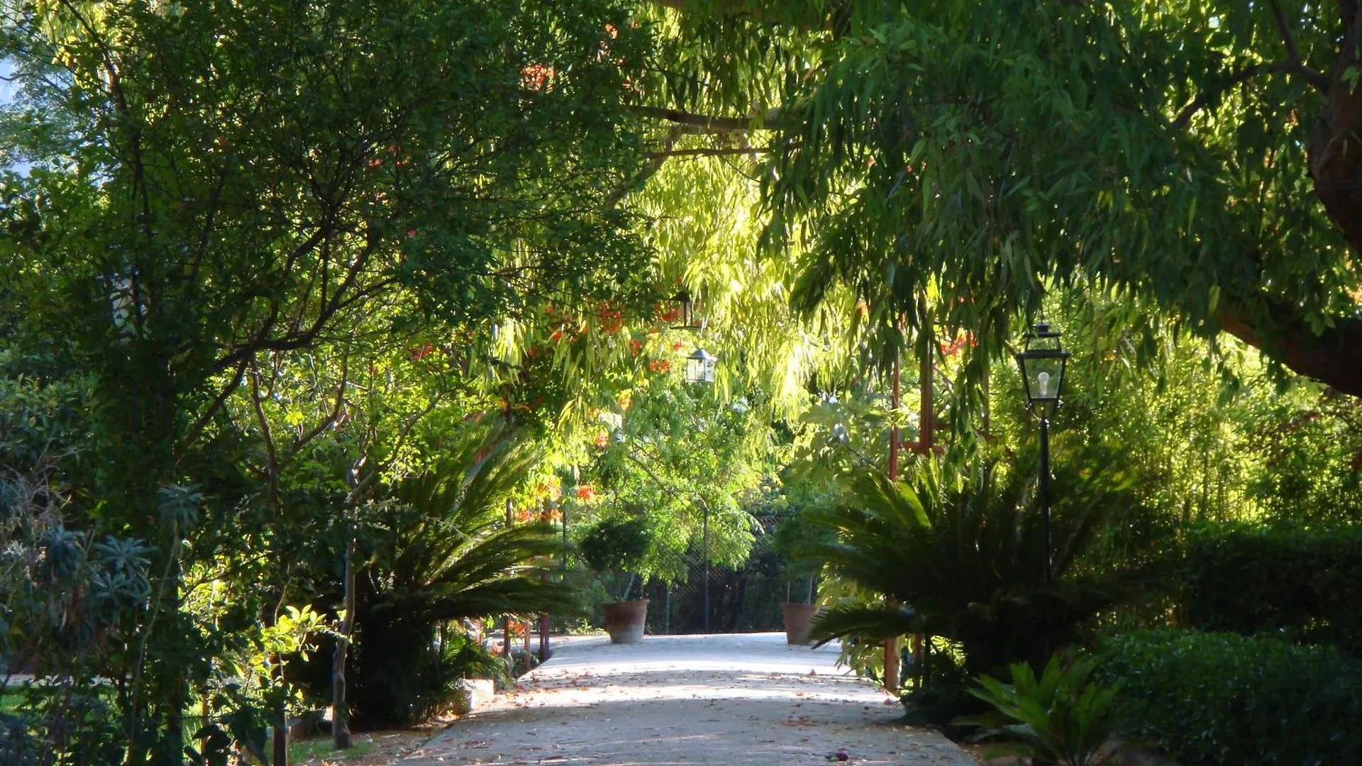 Finca Cas Sant Sóller Ισπανία