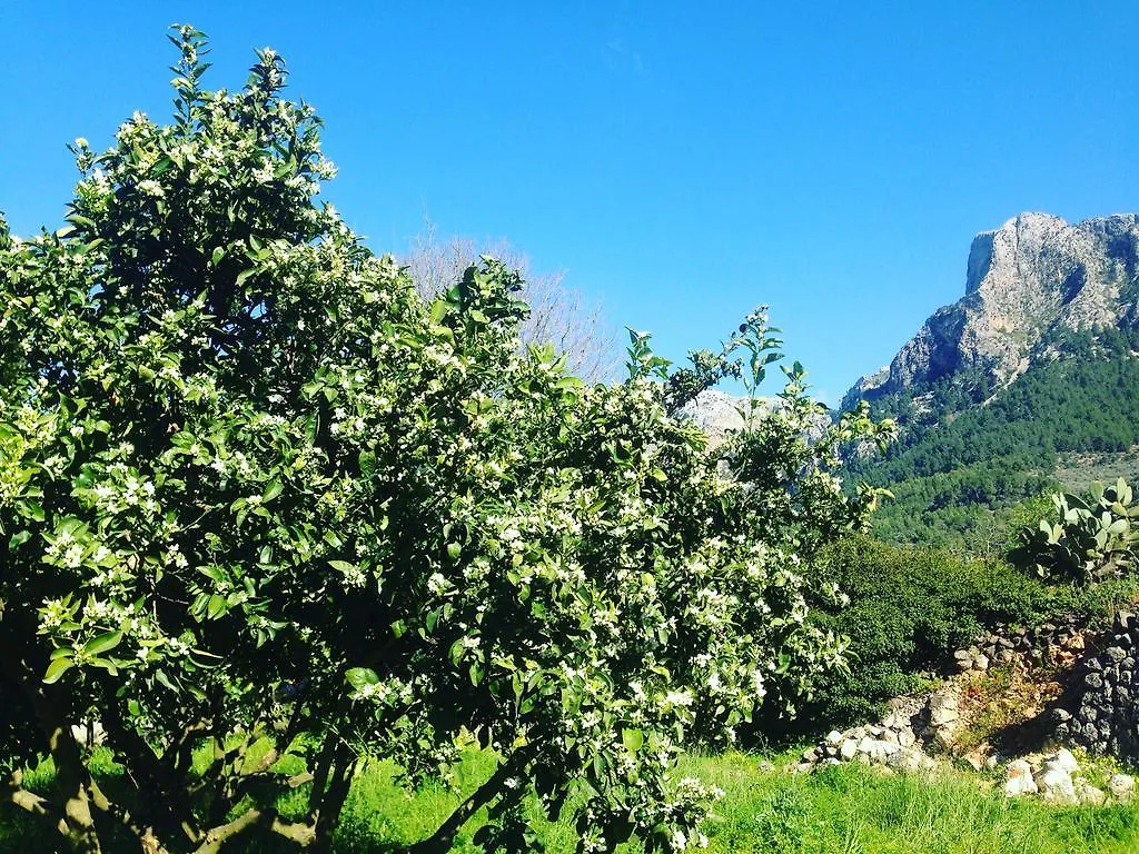 Κατάλυμα σε φάρμα Finca Cas Sant Sóller