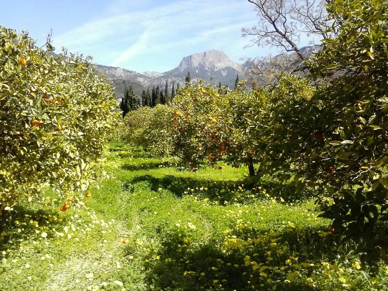 Finca Cas Sant Sóller